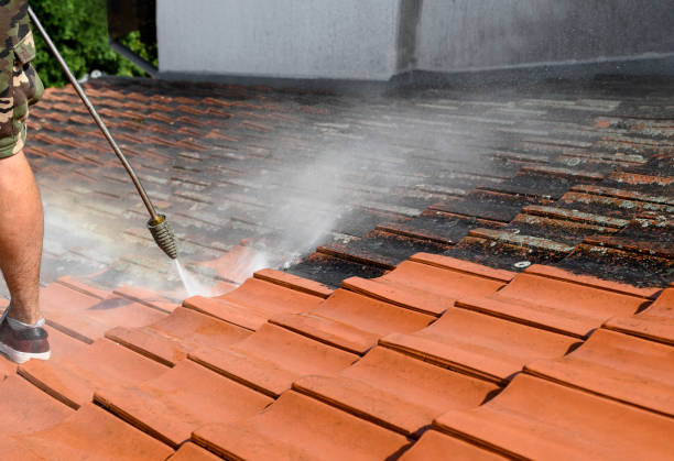 Best Deck Cleaning Services  in Spring Lake, MI