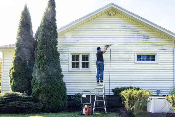 Best Deck Pressure Washing  in Spring Lake, MI