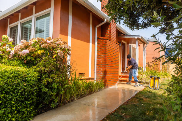 Best Roof Power Washing Services  in Spring Lake, MI