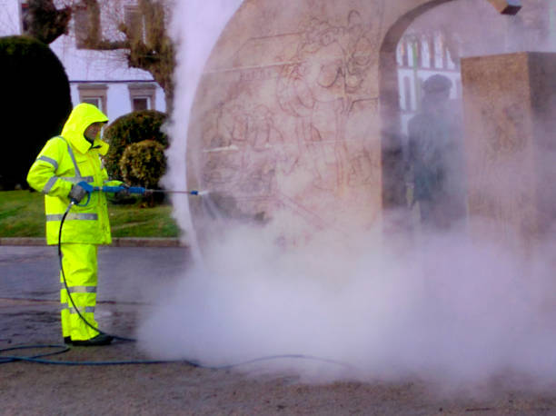 Best Fence Pressure Washing  in Spring Lake, MI