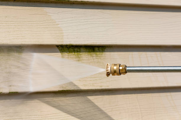 Best Roof Pressure Washing  in Spring Lake, MI