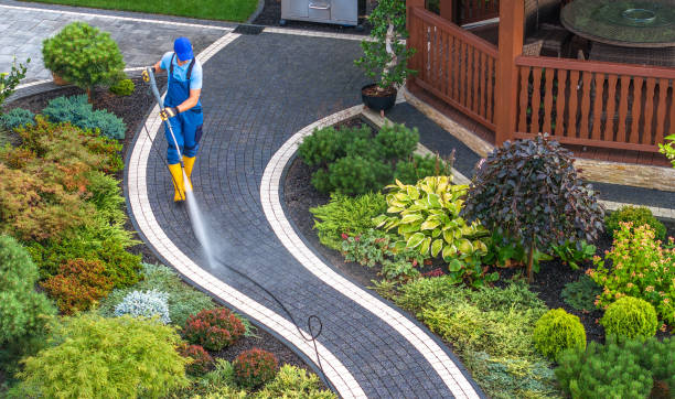 Best House Pressure Washing  in Spring Lake, MI